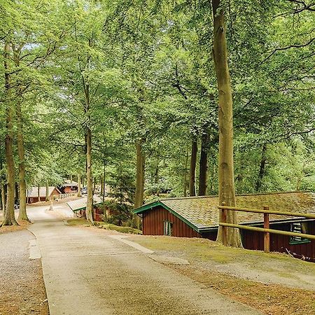 Penllwyn Lodges Montgomery Dış mekan fotoğraf