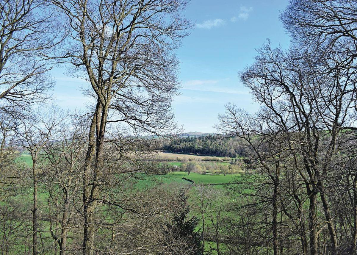 Penllwyn Lodges Montgomery Dış mekan fotoğraf