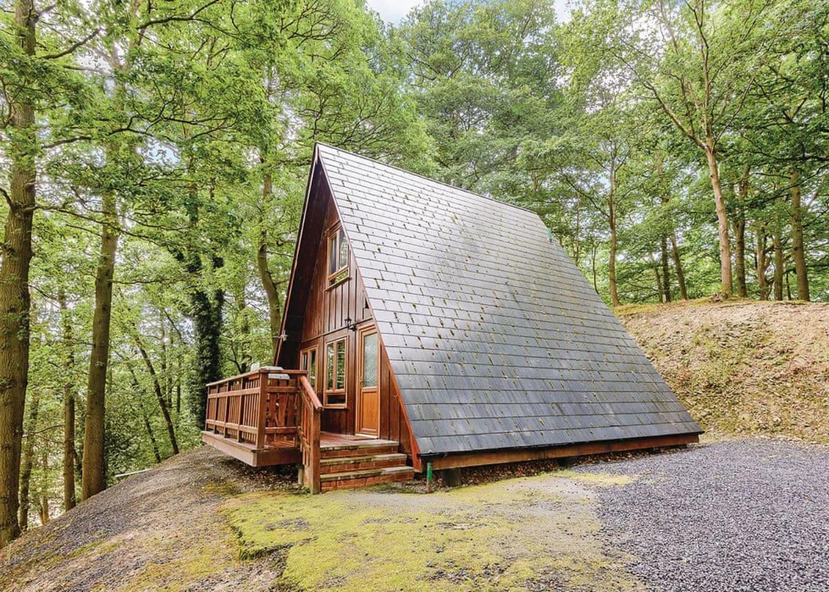 Penllwyn Lodges Montgomery Dış mekan fotoğraf