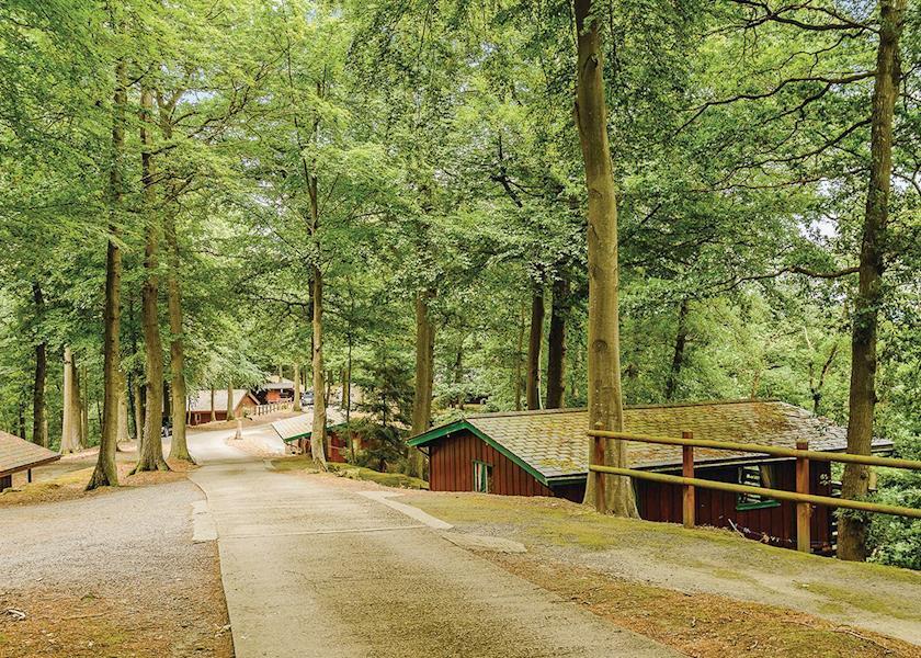 Penllwyn Lodges Montgomery Dış mekan fotoğraf